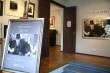 Exhibition: Ulvis Alberta